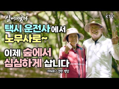 (강원 평창/294회) 택시 운전사에서 노무사가 된 남자! 이제 숲에서 심심하게 살렵니다 koreatv, forest, Public Labor Attorney