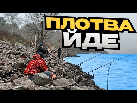 ПЛОТВА ЙДЕ ПОВНИМ ХОДОМ‼️ ЧОРНІ КАМНІ РОЗДАЮТЬ🎣