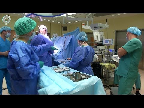 В Новосибирске стартовал Сибирско-Сербский нейрохирургический симпозиум