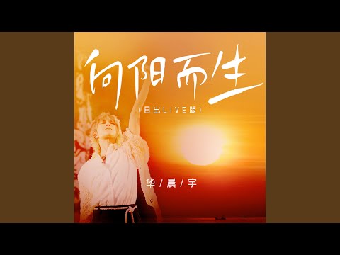 向阳而生 (日出live版)