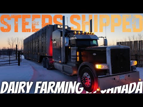 Last Load Of The Year and Loader Donuts!