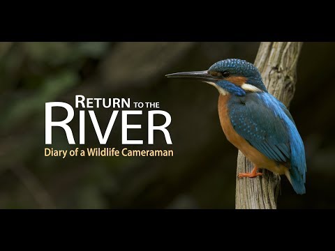 TRAILER - Return to the River - Diary of a Wildlife Cameraman