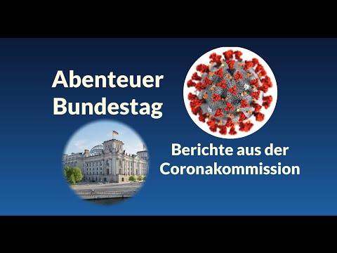 Corona-Enquete 1. und 2. Sitzung | Prof. Homburg