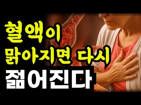 (최신간)노화는 혈액이 맑아지면 되돌릴 수 있다 / 혈액속의 염증을 청소하라