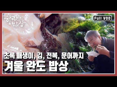[한국인의밥상★풀버전] 초록 매생이와 김 그리고 향긋한 귤까지 바다가 주는 건강한 선물을 품은 넉넉한 섬, 완도로 가본다 (KBS 20190110 방송)