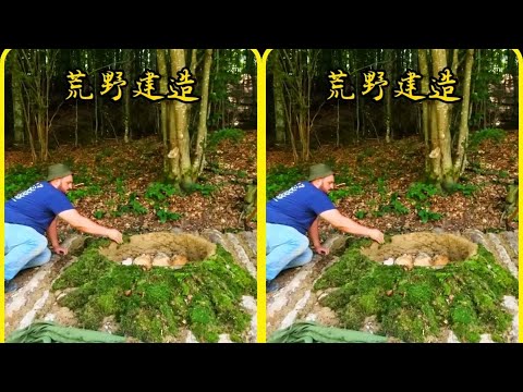 這是我見過最隱蔽的庇護所，它深藏在千年古樹之下！ #野外建造 #荒野建造 # #野外建造 #荒野建造 #庇护所 #木屋建造 #野外生存