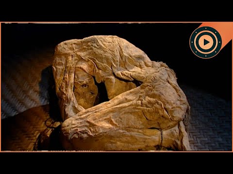 Mummy in the Suburbs: Unmasking the Identity of a Pregnant Ancient Mummy