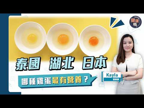 雞蛋不是愈大愈好！營養師教你辨別新鮮靚雞蛋｜雞蛋不能洗？生吃更有營養？買散裝蛋還是買盒裝蛋？拆解雞蛋迷思｜大部分人都做錯的習慣｜健康嗎@HealthCodeHK 【Chat醫D】#雞蛋 #egg
