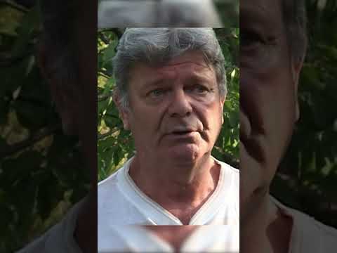 Les canards de la discorde