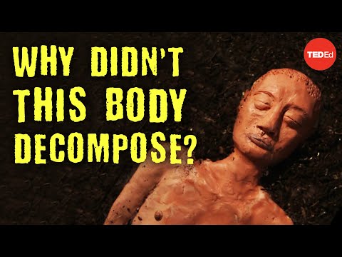 Why didn’t this 2,000 year old body decompose? - Carolyn Marshall