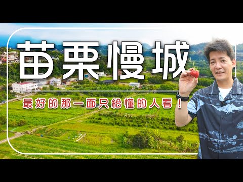 【苗栗】謝哲青：「最好的那一面，只給懂的人看！」你以為是荒蕪，其實是苗栗人藏起來的祕密｜火炎山／大碗茶／深山廚房｜#謝哲青