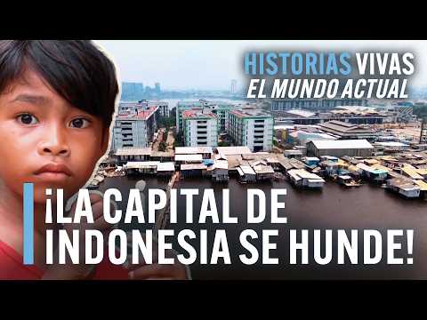 El desastre ambiental de Indonesia: deforestación, contaminación y hundimiento | Documental HD |