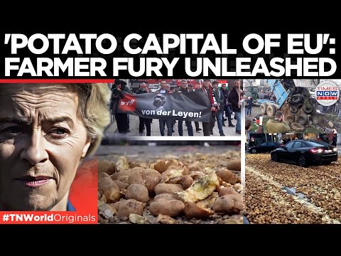 BRUSSELS POTATO CHAOS: Farmers Revolt In Brussels, Streets Buried Under Potatoes | Times Now World