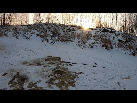 FINALLY GOT OUT TO STAND WITH THE GRABBERS. LONG-AWAITED FISHING TRIP WITH GRABBERS-FLAPPERS.