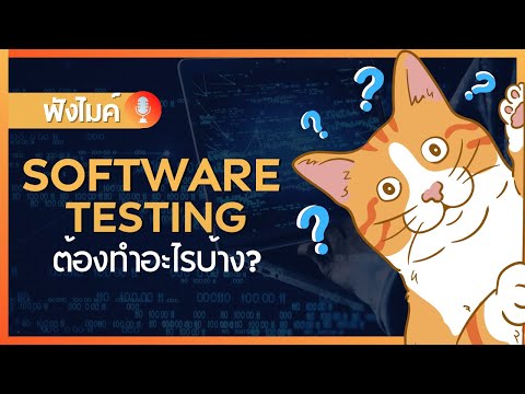 What does software testing normally require?