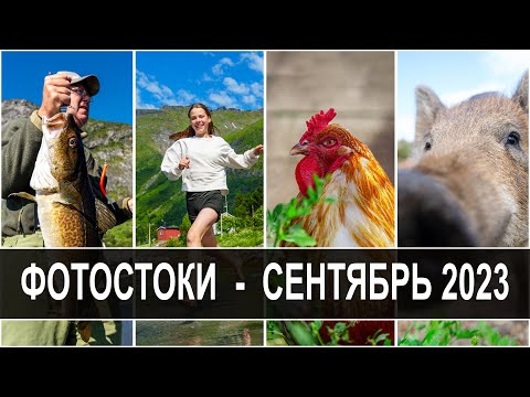 Stock photos, $1100, Report for September 2023. First milestone achieved! Uploaded 7 photos per day.