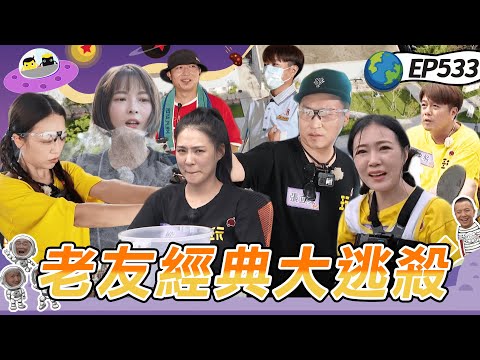 Tainan: Bear Bear oversleeps, Li-Tung eliminated, and Jacky Wu caught in a secret bikini snap!