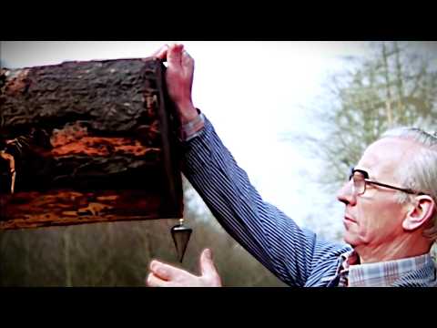 Watch Traditional Carpenters Milling Floorboards by Hand