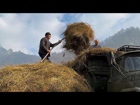 Milking Sheep and Making Cheese in the Mountains: A Family’s Life