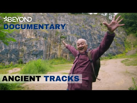 Walking Through Ancient Britain | Ancient Tracks | S2E03 | Beyond Documentary