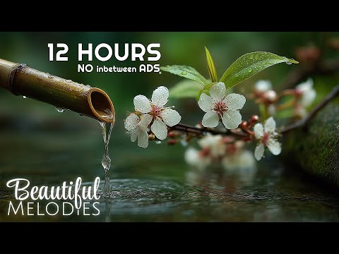 🍀 Relaxing Water Sounds 🍃 Sleep Music for Mental Clarity & Calm