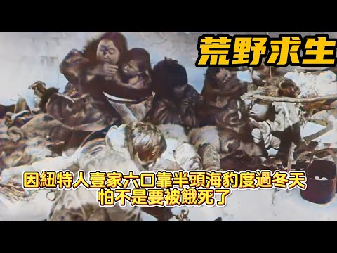 紀錄片：因紐特人壹家六口靠半頭海豹度過冬天，怕不是要被餓死了！#世界奇聞#奇聞#紀錄片