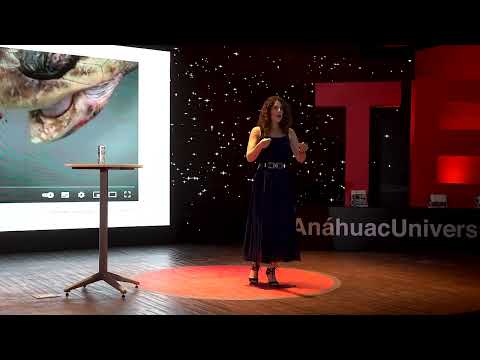 ¿Cómo hacer la sustentabilidad negocio? | Chantal Chalita | TEDxAnáhuacUniversityQuerétaro