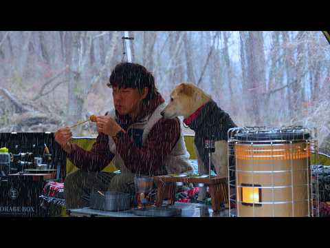 Winter Rain Camping | Forest Tent with My Dog | Stove Fire & Rain Sounds