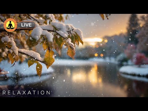 This livestream has ended. We will release a new version of this livestream soon. See link below.