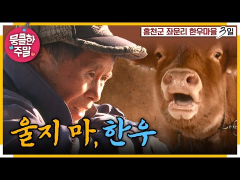 [뭉클한 주말🍀] '소'를 아끼는 농민들의🐮 봄을 기다리는 이야기🌱  | KBS 120115 방송