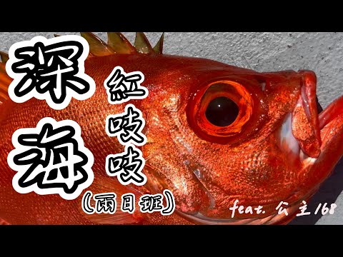 【EP14】激戰珊瑚瀨~ 輕鬆一竿破萬~ 紅大目赤馬兩日班! feat. 公主168_by 釣魚輕鬆玩 #船釣 #紅大目 #深海魚