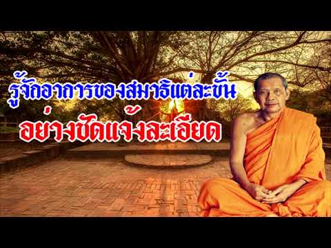 รู้จักกับอาการของสมาธิแต่ละขั้น อย่างละเอียดชัดแจ้ง หลวงพ่อฤาษีลิงดำ