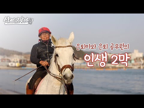 (부산 기장) 경주마로 살다가 은퇴 공무원과 여생을 함께하다!! ktv, Retired official accompany with retired racehorse (시즌4)