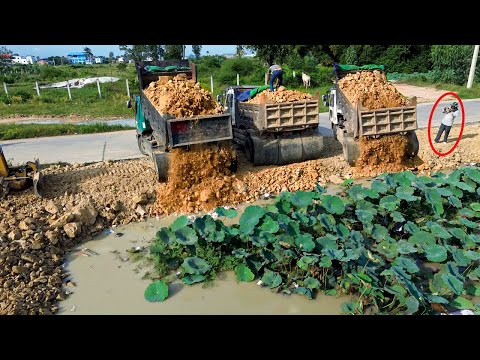Wonderful Processing Teams Dump Truck Push Stone Into Pond Best Action Bulldozer Komatsu Landfilling