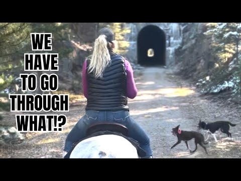 Riding a MULE through the MOUNTAINS of MONTANA!