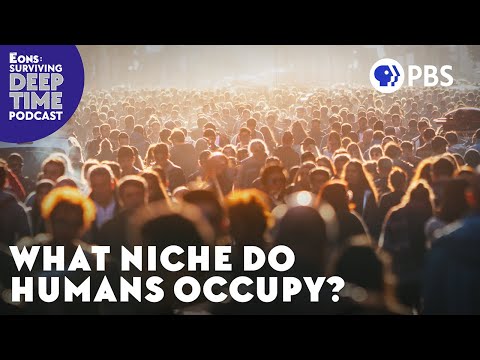 What Niche Do Humans Occupy? (Mailbag Episode!)