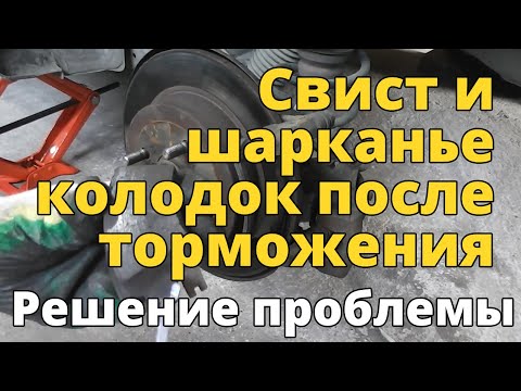 The brake pads squeal and scrape after braking.