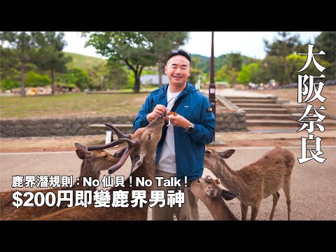 【大阪/奈良】 鹿界潛規則 : 冇仙貝 = 冇friend做 | 200円即變鹿界男神｜大阪檸檬牛舌  #奈良 #大阪 #奈良自由行 #奈良餵鹿 #日本自由行
