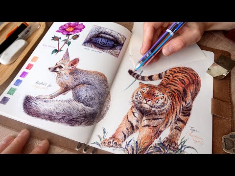 Sketching animals & plants with One Multicolor Ballpoint Pen 🌈