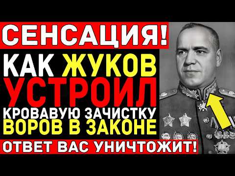 Даже СТАЛИН содрогнулся — ЖУКОВ против ВОРОВ В ЗАКОНЕ: 180 трупов за 3 дня!