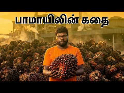 Is Dalda Actually Palm Oil? The Truth Behind Vanaspati Ghee | Big Bang Bogan