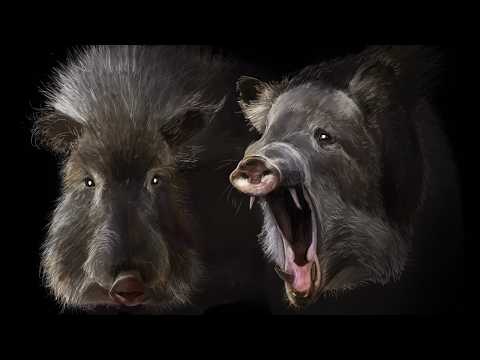 Lazarus: Animals Who Came Back From The Dead