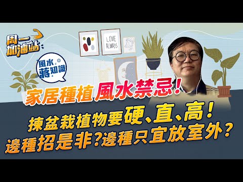 蔣匡文風水學堂：家居種植風水禁忌！哪些植物品種不宜放屋企？哪種盆栽易招人事糾紛？「有花有果」可以招財、催旺愛情兼添丁？｜《周一加油站》｜風水蔣知識｜etnet
