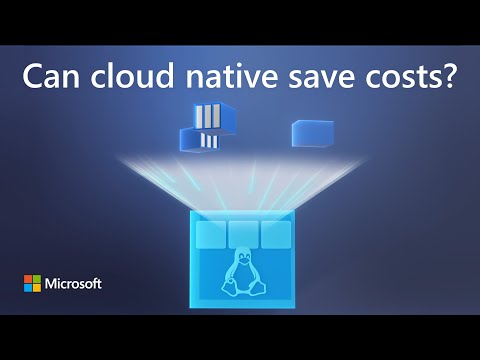 Can cloud native architectures lower your long-term costs?