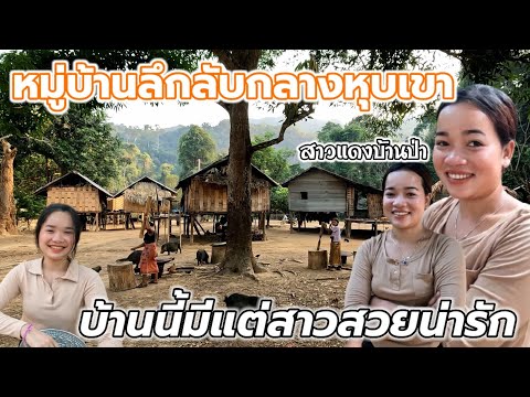 Ep:27 #วิถีลาว เจอตัวแล้วสาวแดงบ้านป่า สองปีแล้วที่ไม่ได้เจอกัน มาวันนี้น้องสวยน่ารักทำงานก้อเก่งมาก