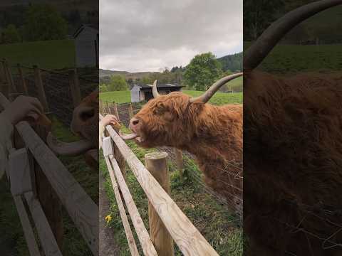 🏴󠁧󠁢󠁳󠁣󠁴󠁿This place is unreal! #scotland #scotlandtourism #vacationdestinations