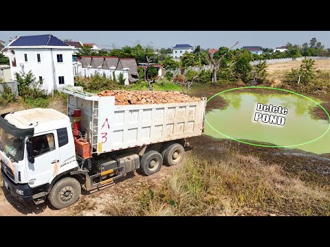 Amazing Action Start Project ! BIG DumpTrucks Dumping Land Delete POND With Skills D53E Bulldozer...