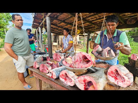Legend!! Beautiful Nature Rural Island Street Fish Market Hidden Village Culture