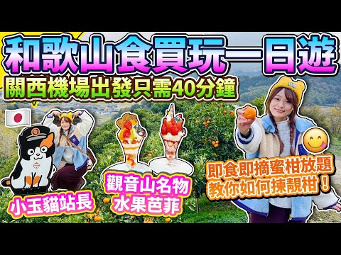 關西機場出發只需40分鐘！和歌山食買玩一日遊🍊小玉貓站長🐱即食即摘蜜柑放題，教你如何揀靚柑｜觀音山名物水果芭菲｜2024年1月日本菇菇菇