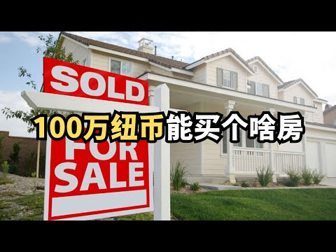 房市继续跌?100万纽币能在新西兰奥克兰买个啥房? (从北到南,探索新西兰:20250615第13期)